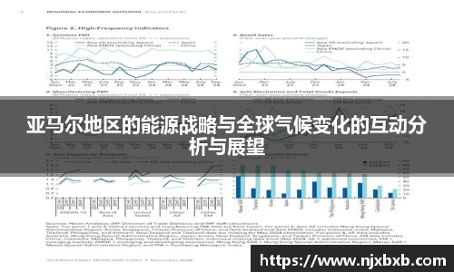 亚马尔地区的能源战略与全球气候变化的互动分析与展望